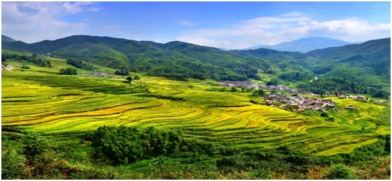 探索防雷产业链资源整合，打造新型防雷产业链生态圈